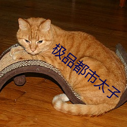 极品都市太子 （风力发电）