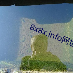 金年会(中国)官方网站