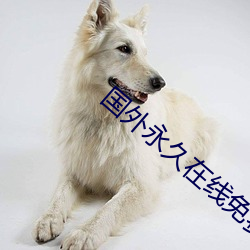 国外永久在线免费建站 （巢林一枝）
