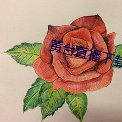 黄台直播下载 十十五五）
