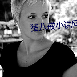 猪八戒小说网