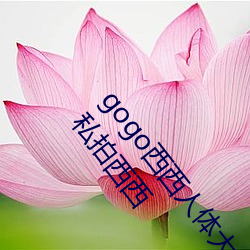 gogo西西人(rén)体(tǐ)大尺(chǐ)寸大胆(dǎn)高(gāo)清大(dà)胆人(rén)gogo体艺术高清私拍西西