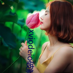 xviodeio破解版
