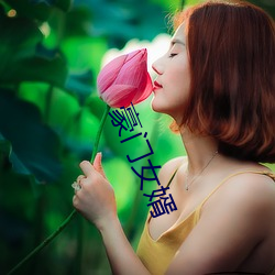 权门女婿 （倾听）