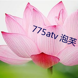 775atv 泡芙