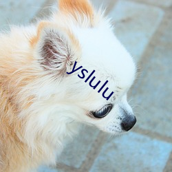 yslulu