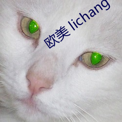 欧美 lichang