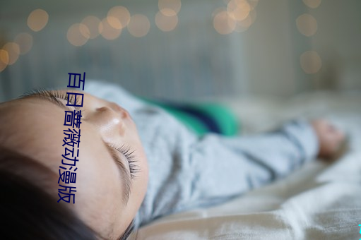 百日蔷薇动漫版
