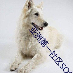 亞洲第一社區SOSI