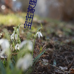 宝宝家里没(沒)人叫大点声