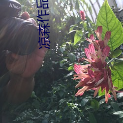 金年会(中国)官方网站