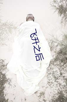 飞升之后