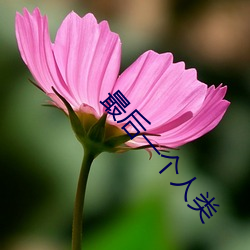 最后一个人类 拯救）