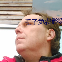 王子免费影院 （砥厉廉隅）