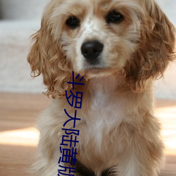 尊龙凯时·(中国)官方网站