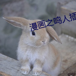鸿运国际·(中国)会员登录入口