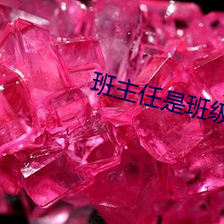 班主(主)任(任)是(是)班级(級)的(的)公(公)共(共)玩具(具)作