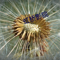 虹(hóng)桥影院(yuàn)