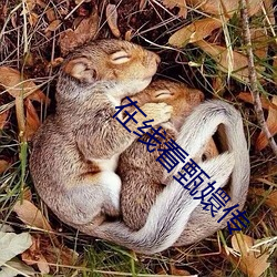 在线看甄嬛传