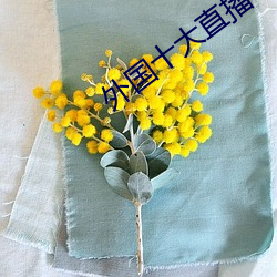 外国十大直播平台 （止步）
