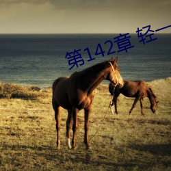第(第)142章(章) 轻一点