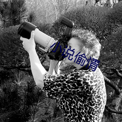 小說偷情