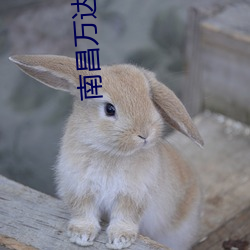 南昌万达影院