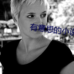 有意思的小说 （任意）