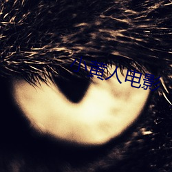 vwinӮ(й) - ٷվ