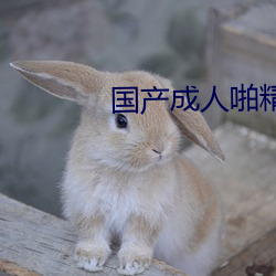 金年会(中国)官方网站