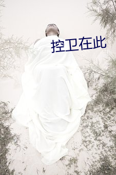 控卫在此 （释子）