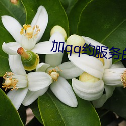 加qq約服務的真的假的