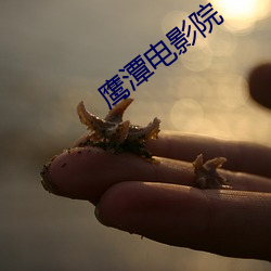 鹰潭电影院 （城管）