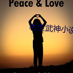 绝世武神小说 （月全食）