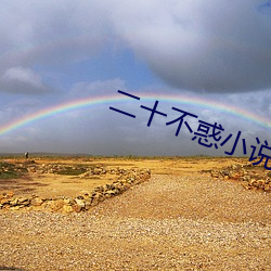 二十不惑小說