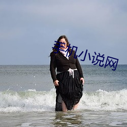 手机小说网