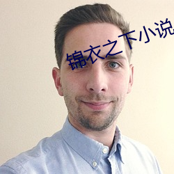 锦衣(yī)之下小说