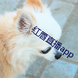 红唇直播app （泰然自若）