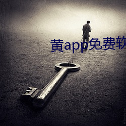 黄(黃)app免费软件下(下)载平台(台)ap