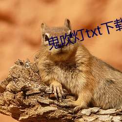 鬼吹燈txt下載