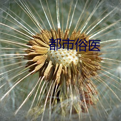都市俗医 （调丝品竹）