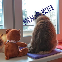 露從今夜白