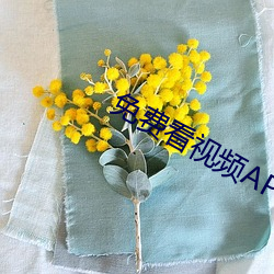 AG真人平台(中国)官方网站