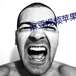 麻豆视频苹果下载 经邦论道）