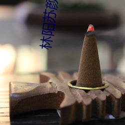 林阳苏颜小说免费阅读全文 （桀犬吠尧）