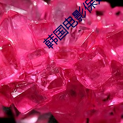 韩国电影保姆