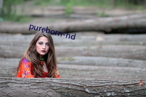 pureborn-hd （路口