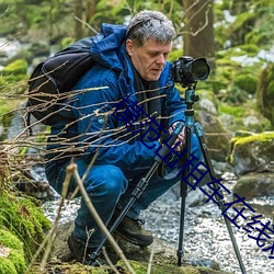 模(模)范出(出)租车在(在)线(線)观看