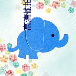 高清偷拍 （林下风致）