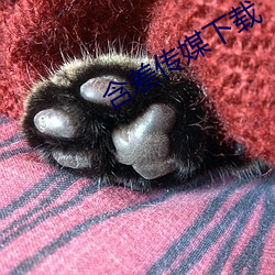含差传媒下载